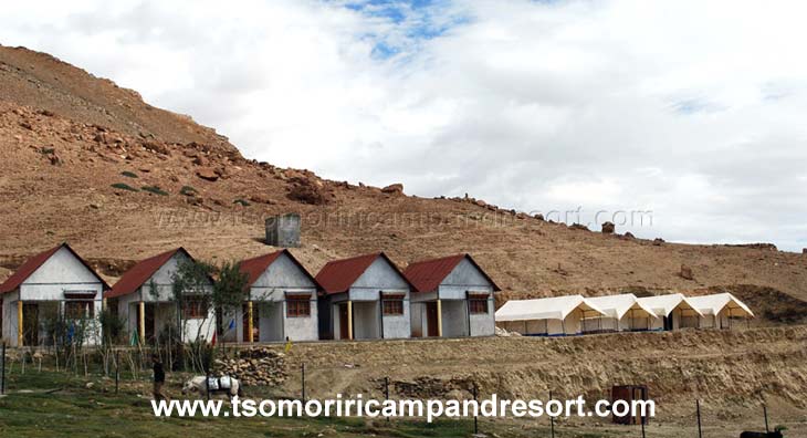 Tso Moriri Camps and Resorts