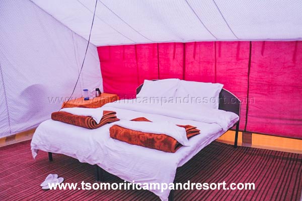 Tsomoriri Camp and Resort Double Beded Tent