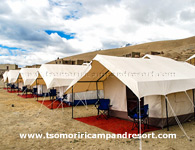 Tsomoriri Camp
