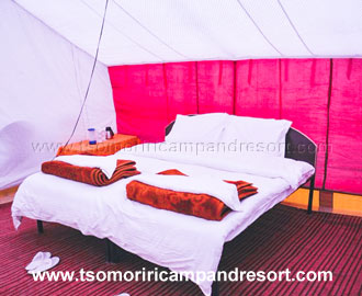 Tsomoriri Camp and Resort Double Beded Tent